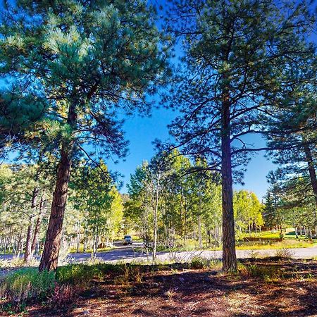 הוילה סאות' פורק Pinon Pines מראה חיצוני תמונה